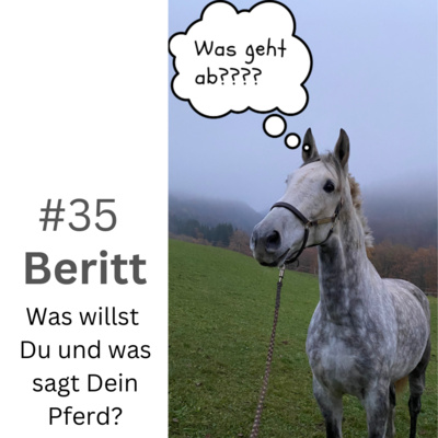Kompetenz-Zirkel Pferd
