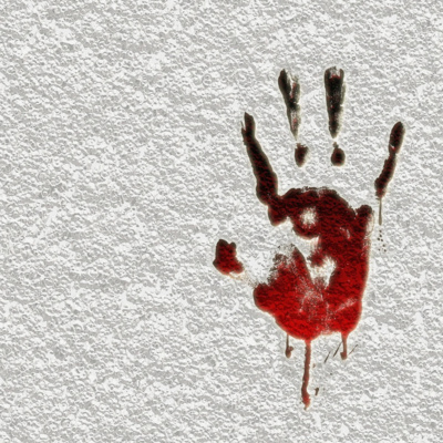 Cogne: the chalet of horrors (True Crime)