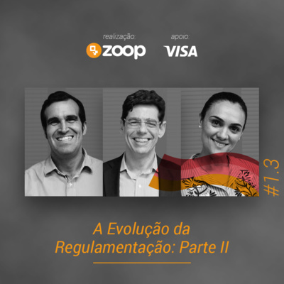 #1.3 A Evolução da Regulamentação: Parte II