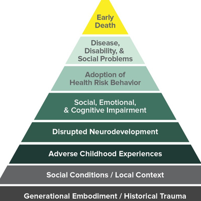 Take the ACE (Adverse Childhood Experience) Survey with Troubled