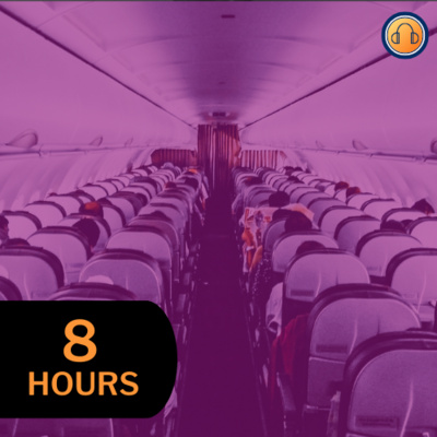 Airplane Cabin Sound