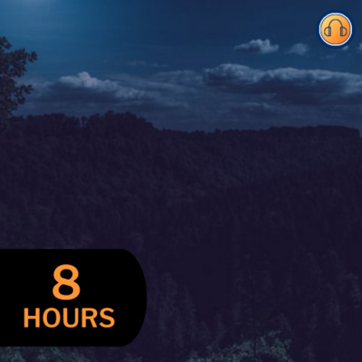 Night Ambiance with Crickets