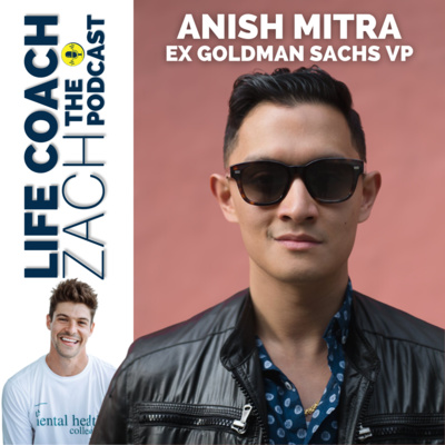 ANISH MITRA - ex Goldman Sachs VP going dumb so you get smart.