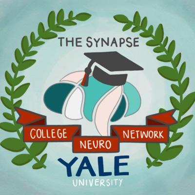 The College Neuro Network: Yale University from a Professor of Psychiatry and Neuroscience