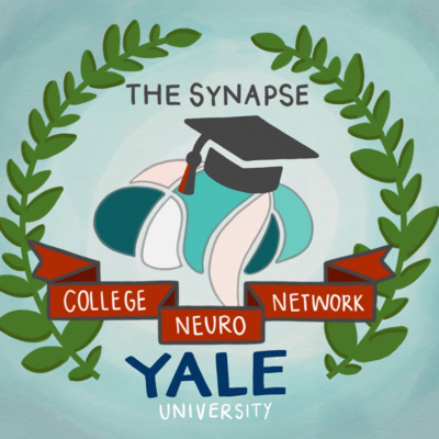 The College Neuro Network: Yale University from an Undergraduate Student
