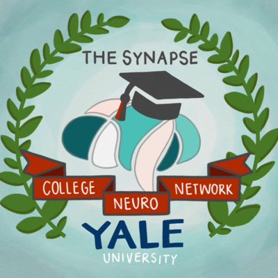 The College Neuro Network: Yale University from a Professor of Comparative Medicine, Neuroscience, and Psychology