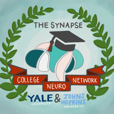 The College Neuro Network: Yale and Johns Hopkins University from a Bloomberg Distinguished Professor of Neuroscience and Psychological and Brain Sciences