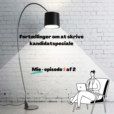 Fortællinger om at skrive kandidatspeciale