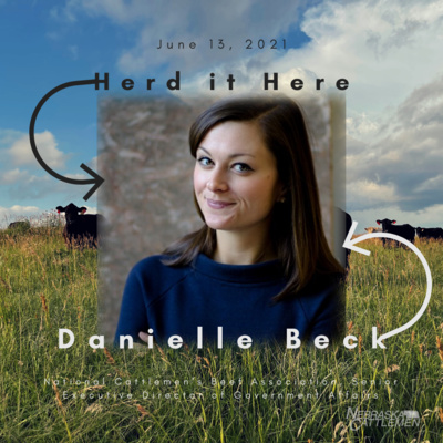 Danielle Beck: Product of the USA