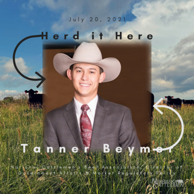 Tanner Beymer: Cattle & Beef Market Policy