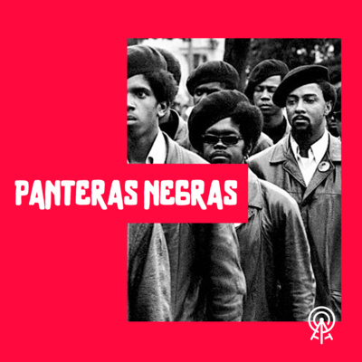 Panteras Negras