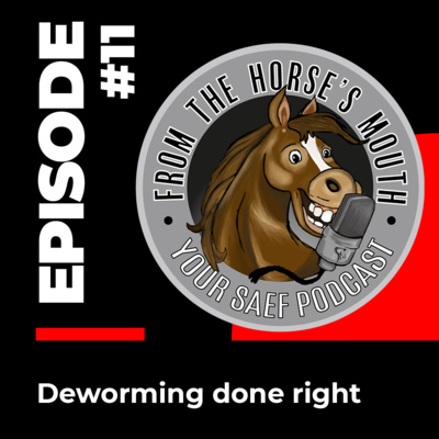 From the Horse\'s Mouth