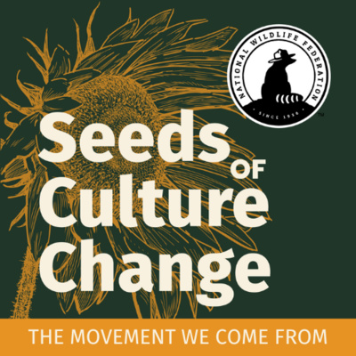 Seeds of Culture Change