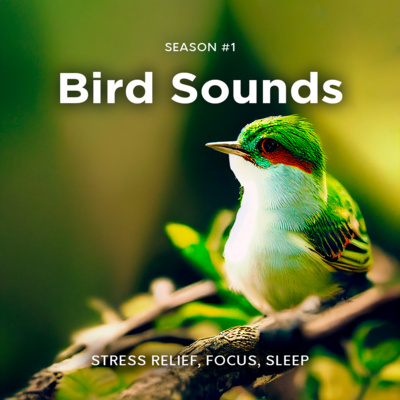 Birds with The White Noise | Nature and Birds Sounds for Relaxation, Mental Energy, Deep Sleep and Anxiety Relief, Healing Tinnitus