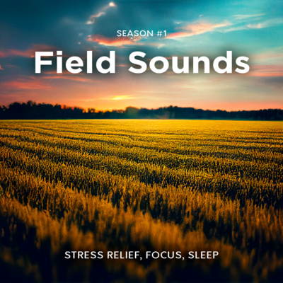 Field in The Evening | Field and Nature Sounds for Relaxation, Mental Energy, Deep Sleep and Anxiety Relief