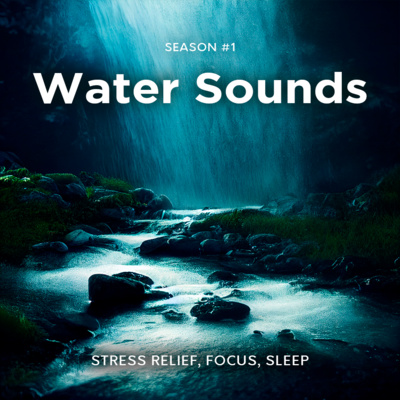 Water Stream in The Evening | Stream and Nature Sounds for Relaxation, Mental Energy, Deep Sleep, ASMR and Anxiety Relief