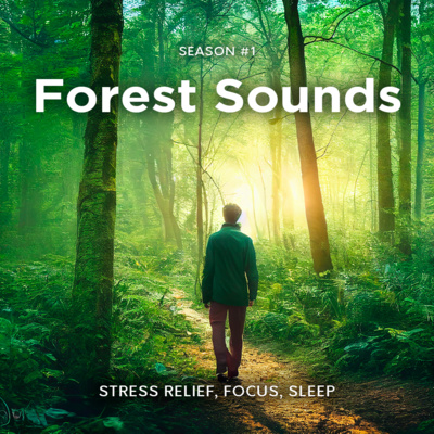 Walking in The Forest | Forest and Nature Sounds for Relaxation, Deep Sleep, ASMR and Anxiety Relief