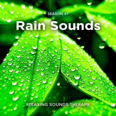 Rain on Leaves | Rain Sounds for Relaxation, Deep Sleep, Work and Study, ASMR, Anxiety Relief, Stress Relief