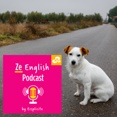 Ze English Podcast by Ecsplicite