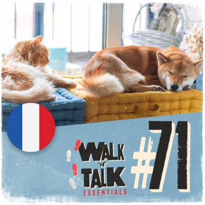Walk 'n' Talk Essentials Francês #71 - Cachorros ou gatos? episode artwork