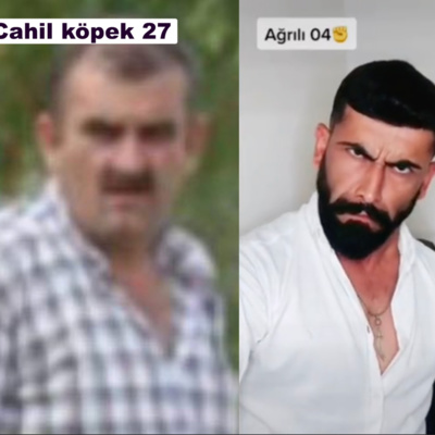 BAZA | CAHİL KÖPEKLER