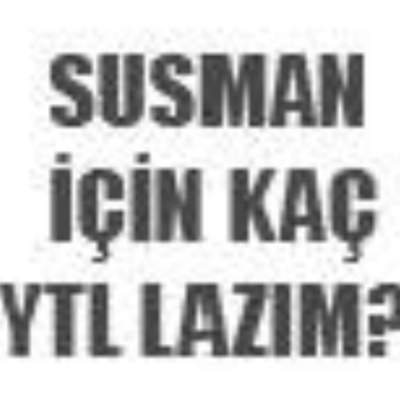 BAZA | CAHİL KÖPEKLER