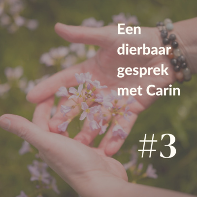 Een dierbaar gesprek met Carin