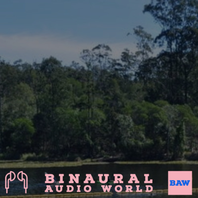 Cicadas on the Engorra Reservoir Trail in Queensland, Australia - Season 2 Episode 13