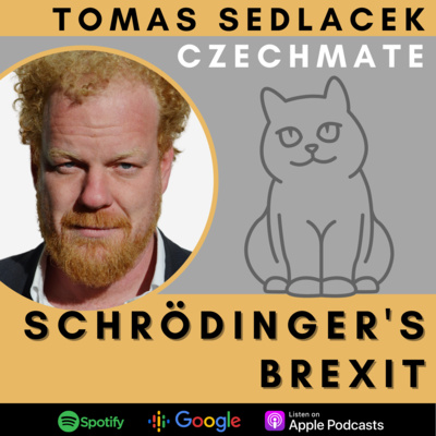 Schrödinger's Brexit episode artwork