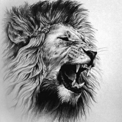 Ep. #50 "You Can Learn a lot from a Male Lion"