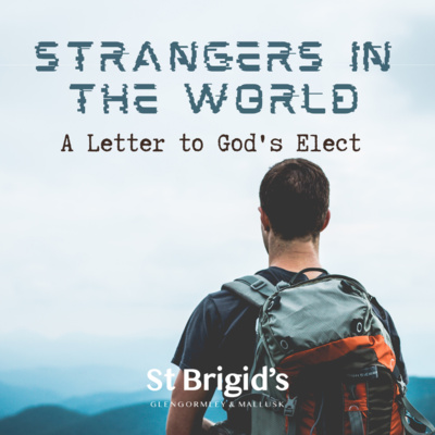 St Brigid\'s Sermons