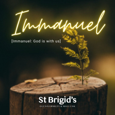 St Brigid\'s Sermons