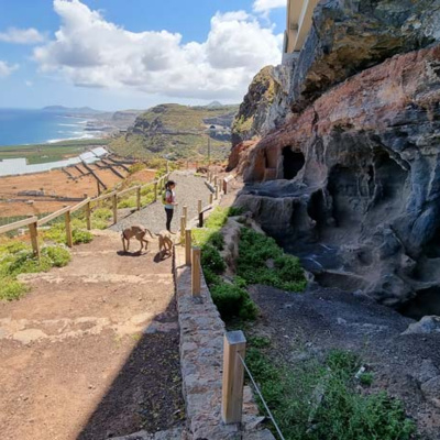 Local Guide Gran Canaria