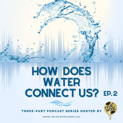 TRUE Skool Podcast Network