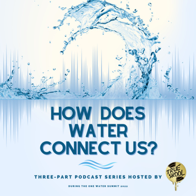 TRUE Skool Podcast Network