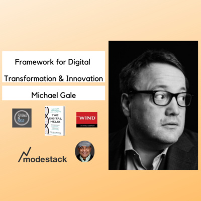 Framework for Digital Transformation & Innovation: Michael Gale