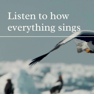 Look to how everything sings -Midweek Meditation for the 23rd of September