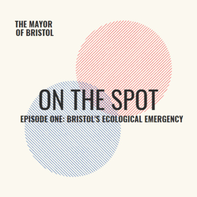 Bristol's Ecological Emergency