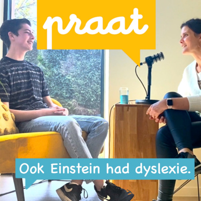 Gesprekken over angsten, dyslexie, dyscalculie, dysfasie, stress, motivatie en zoveel meer - Vievig