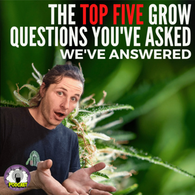 Navigating the Challenges of Germination and Nutrient Timing - EP189 — Marijuana SA Weekly