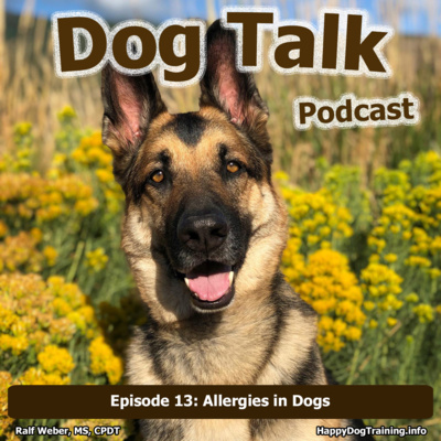 Allergies in Dogs