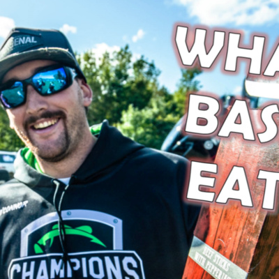 #50 - Turning FORAGE into BASS w/ Connor O'Connor
