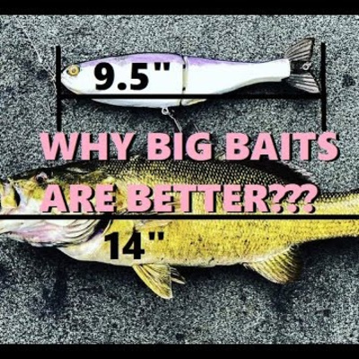 #133 - Big SwimBait Theory (Master Class)