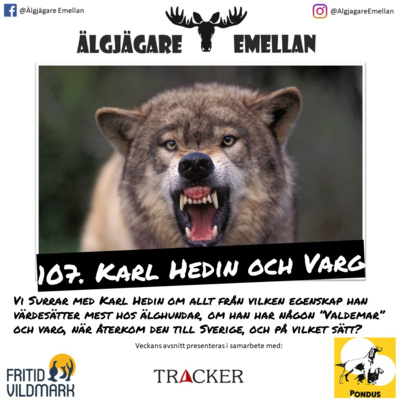 107. Karl Hedin & Varg episode artwork