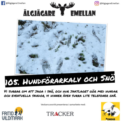 105. Hundförarkalv & Snö episode artwork