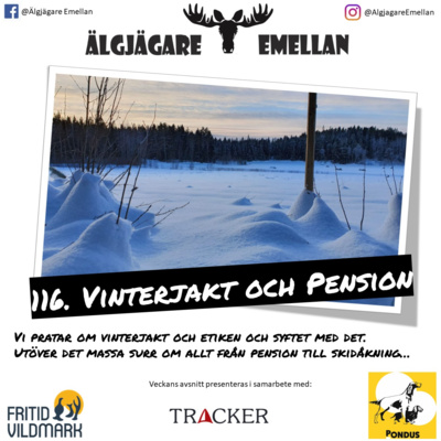 116. Vinterjakt och Pension  episode artwork