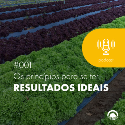 Aqui tem Gerencia - Escola Coop. Terra Lean