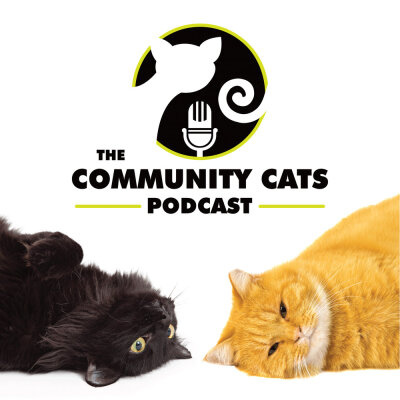 Episode 18: Community Cats Podcast