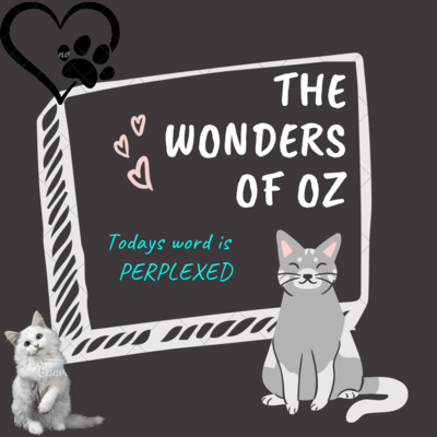 Word Edition: Perplexed
