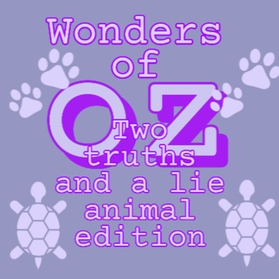 Two Truths and a Lie: Hawksbill Turtle